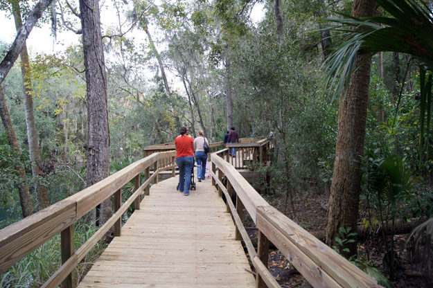 People on a walkway at Blue Springs State Park. 