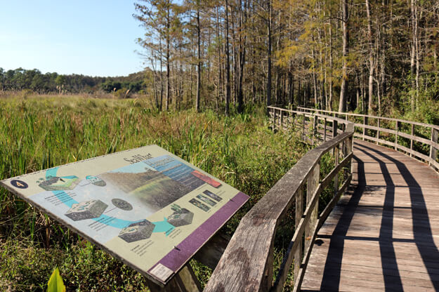Photo of informational signs at the Corkscrew Swamp Sanctuary