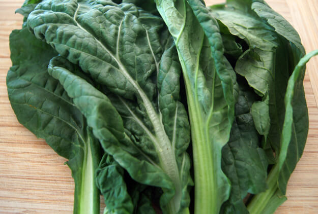 Photo of a bundle of kale