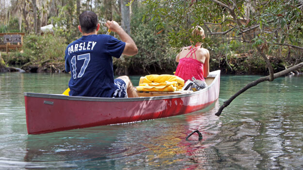 Photo of canoers in the Everglades