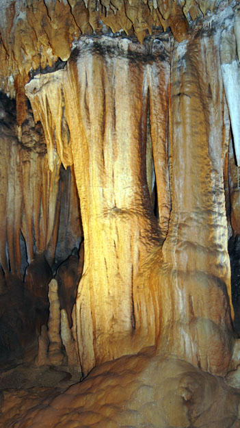 Florida Caverns State Park in Marianna