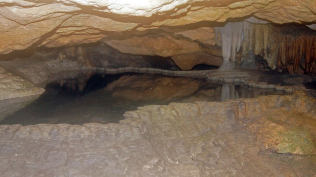 Photo of a pool in a cave at Florida Caverns State Park in Marianna