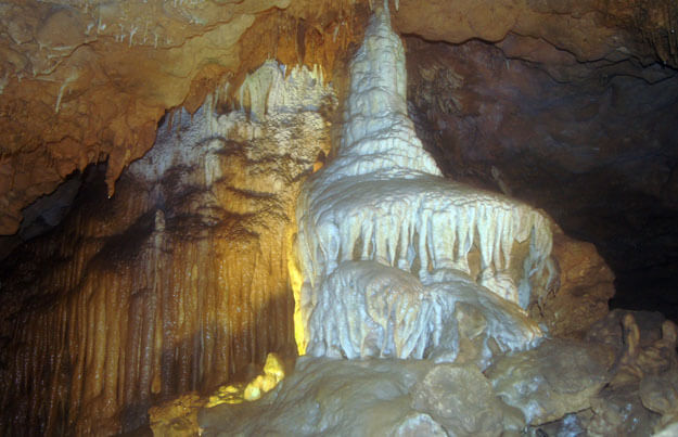 Photo of a cave at the Florida Caverns State Park in Marianna