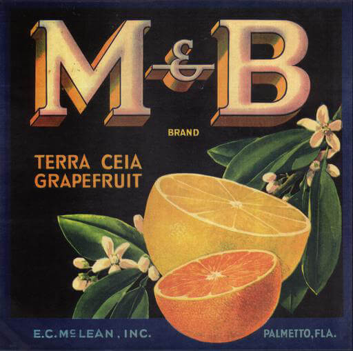 Citrus label that reads M& B Terra Ceia Grapefruit. 