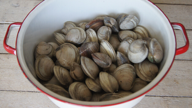 Photo of clams in a strainer