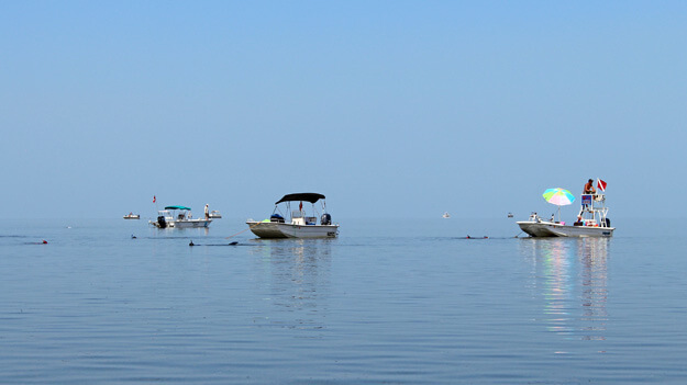 Photo of Boats gather for a day of scalloping