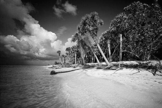 Photo of Cayo Costa Park by Clyde Butcher