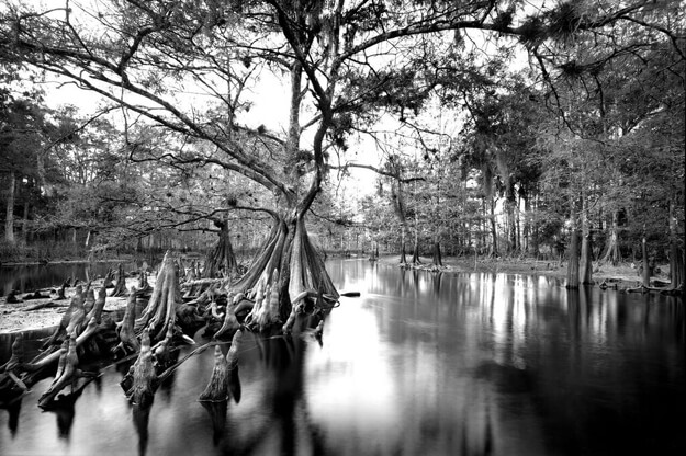 Photo of Fisheating creek by Clyde Butcher