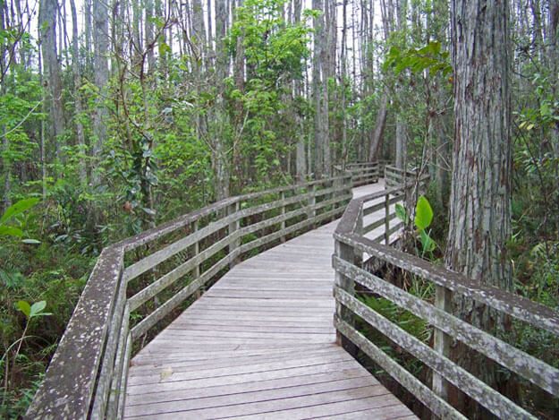 Photo of Audubon Corkscrew Swamp Sanctuary