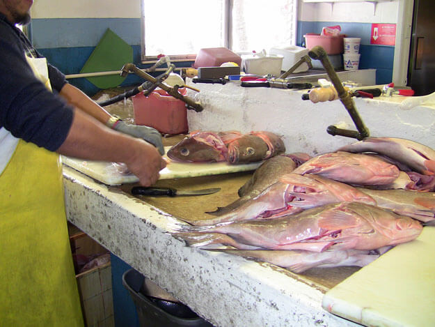 man preparing fish