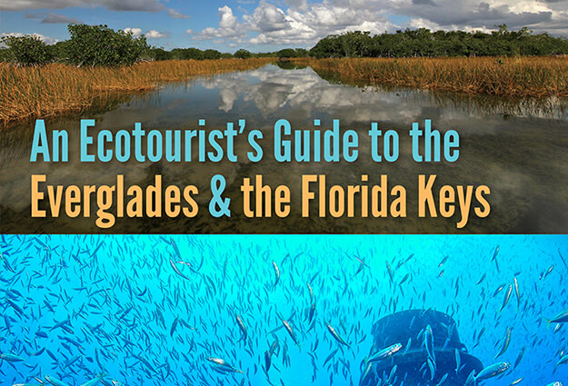 Photo of the book cover to An Ecotourist's Guide to the Everglades and the Florida Keys