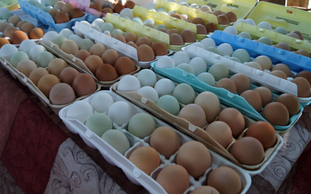 Photo of eggs at a farmers market