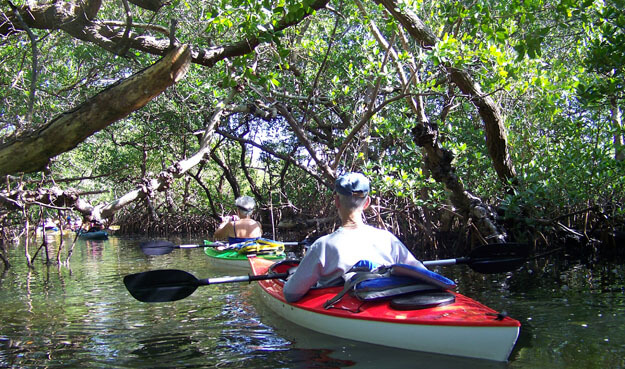 Photo of people kayaking at Emerson Point