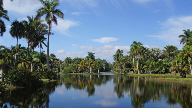 Fairchild Tropical Botanic Gardens. 