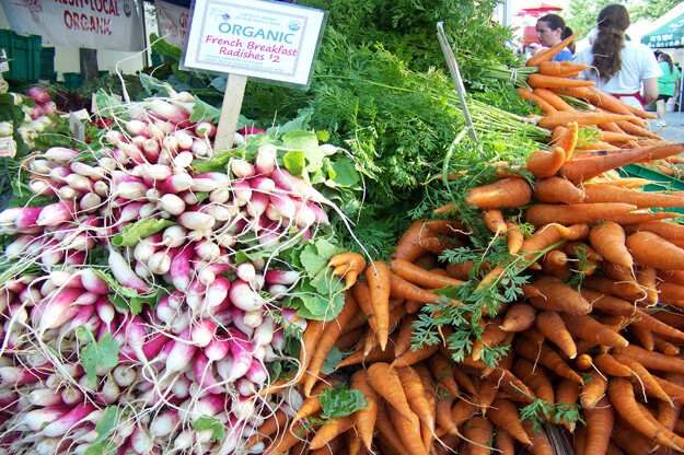 Photo of a pile of radishes and carrots