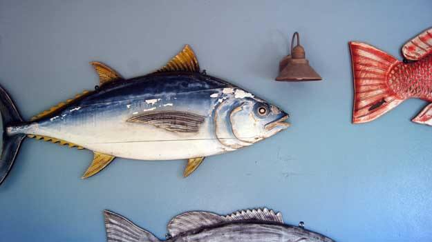 Fish mounted on a wall. 