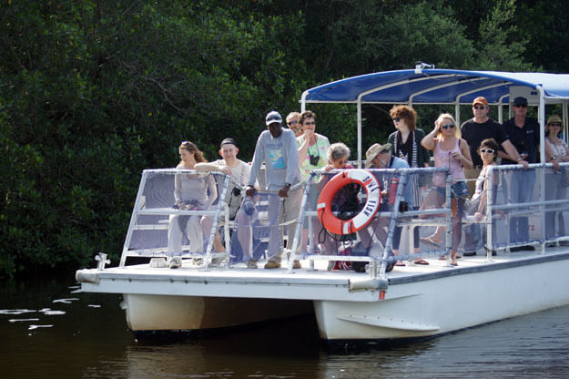 Photo of Flamingo boat tours