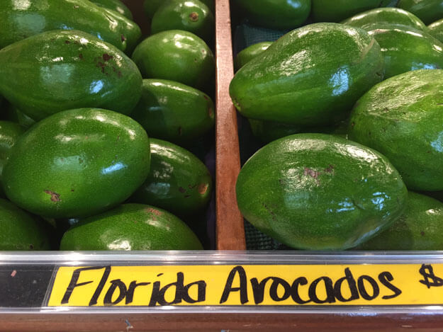 Photo of florida avocados in a bin