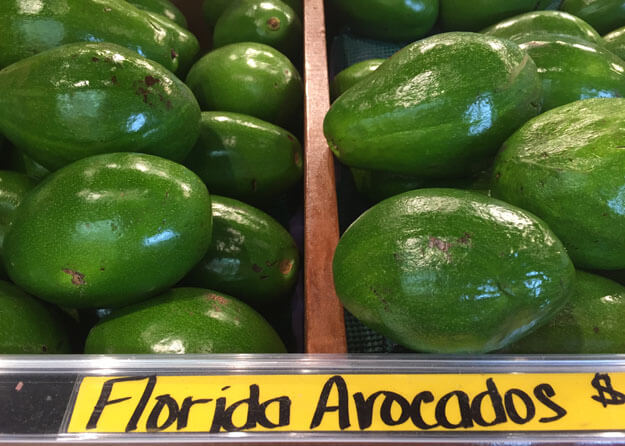 Florida avocados for sale. 
