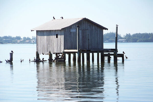 Photo of the Cortez Fish House