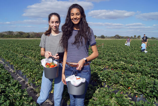 Photo of girls picking strawberries