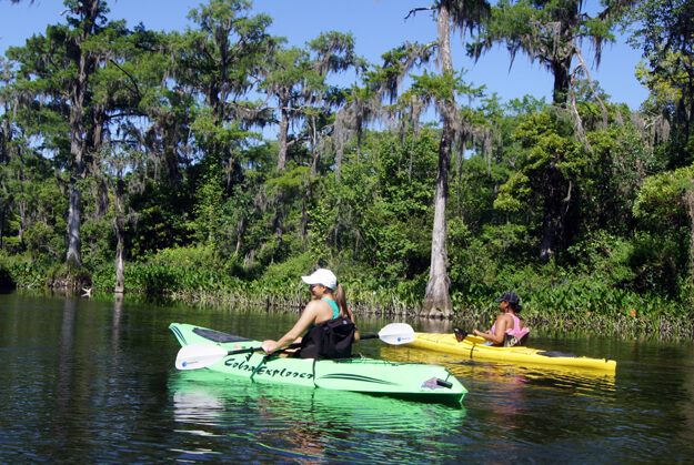 Photo of kayakers on the Wakulla River