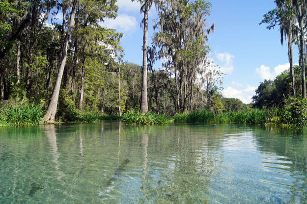 Bright blue skies offset the crystal clear water on the Ichetucknee River.