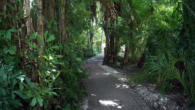 Walkway near trees at Sarasota Jungle Gardens