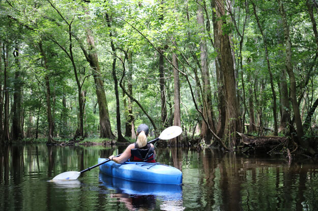 Photo of a kayaker on the Hillsborough River