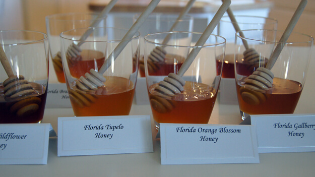 Photo of honey to taste test
