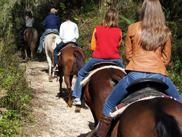 Photo of people on a horse trail ride