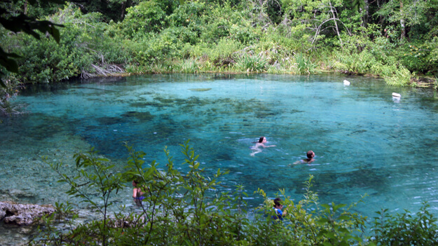 Photo of Ichetucknee Springs and River State Park