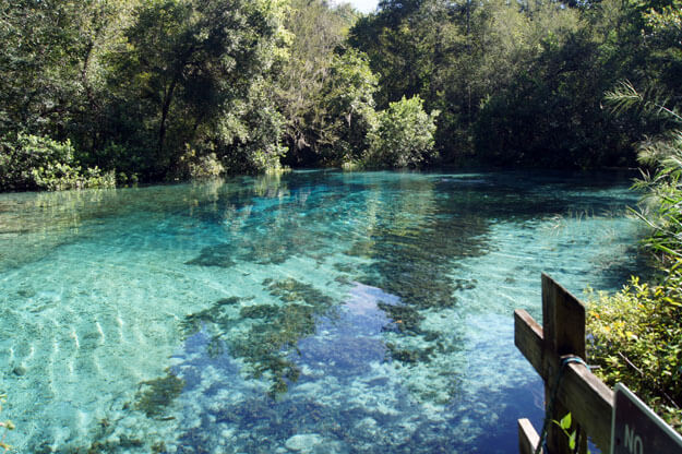8 Best Springs to Visit in Florida in the Summertime
