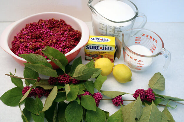 Beautyberry Jam ingredients