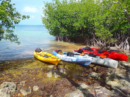 Kayaks on the shore of Indian Key. 