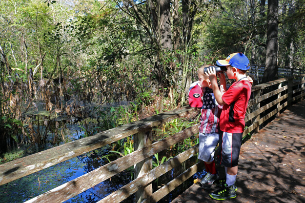 Photo of boys birdwatching in the Corkscrew Swamp