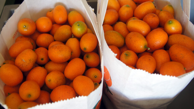 Photo of two bags filled with kumquats