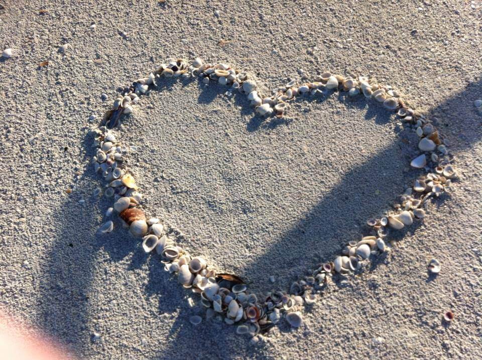 Shells in a heart shape on the beach. 