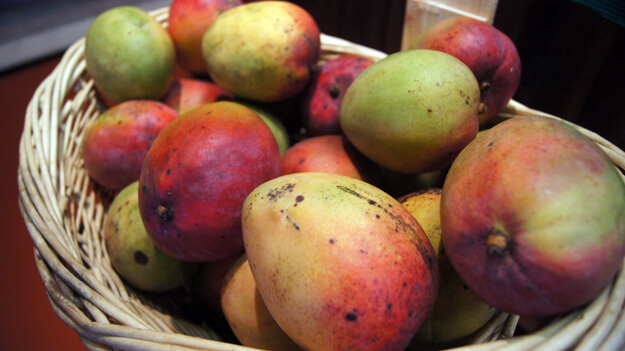 Mangos in a basket 