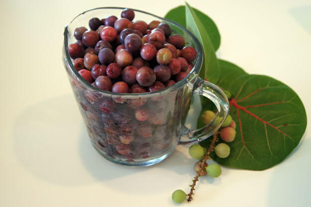 Sea grapes in a measuring cup 