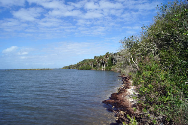 Mosquito Lagoon, Merritt Island National Wildlife Refuge. 