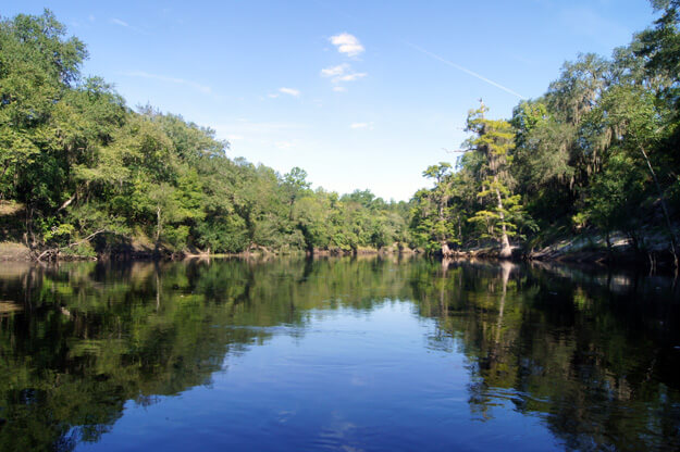 Photo of The Suwannee River (near White Springs)