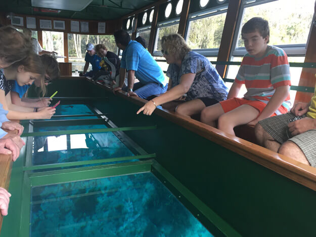 People looking at the water from a glass bottom boat
