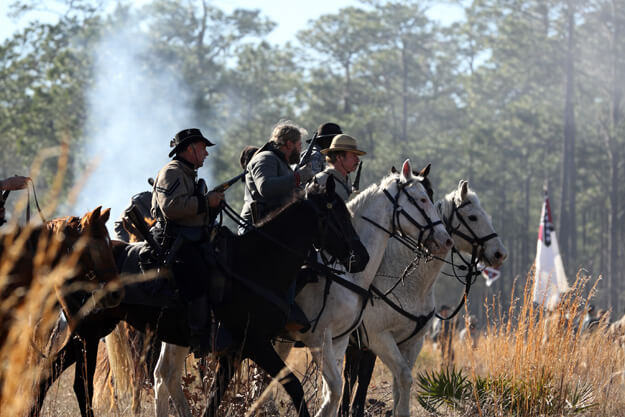 Horses at Olustee Battle reenactment.