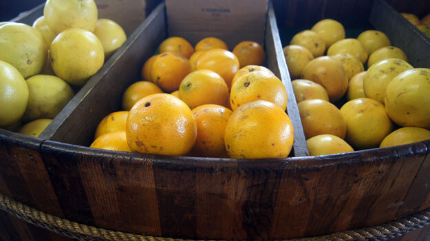 Photo of fresh Florida citrus for sale