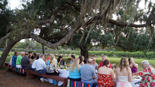 Photo of people sitting at an outdoor dining table