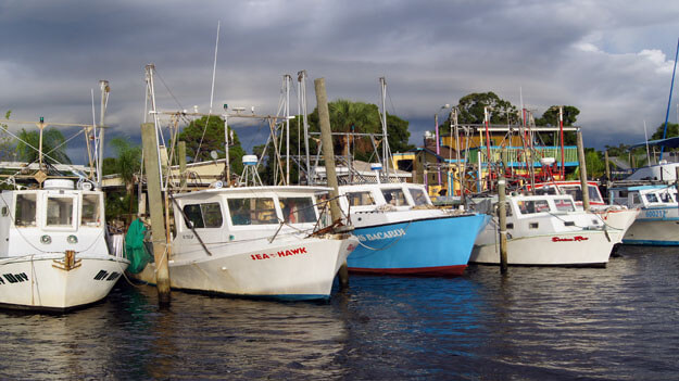 Photo of fishing boats in Pasco