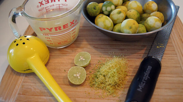 Photo of lime zest and juice