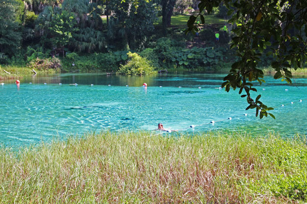 Photo of the Main swimming area, Rainbow Springs State Park