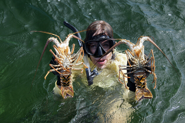Photo of Robin holding lobsters in the water